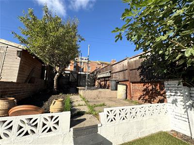 Picture 8
